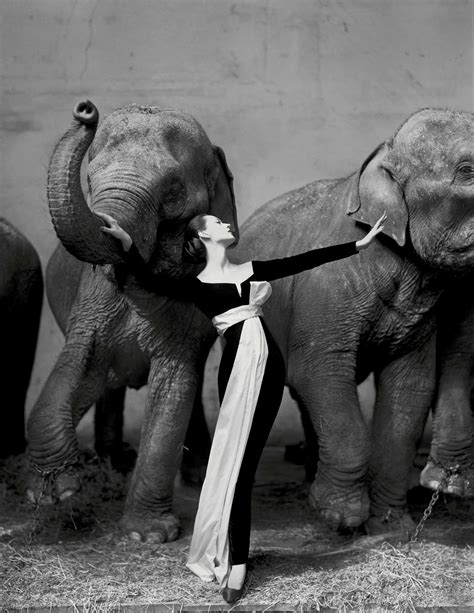 richard avedon photography dior|Dovima with Elephants, Evening Dress by Dior, Cirque d'Hiver, Paris.